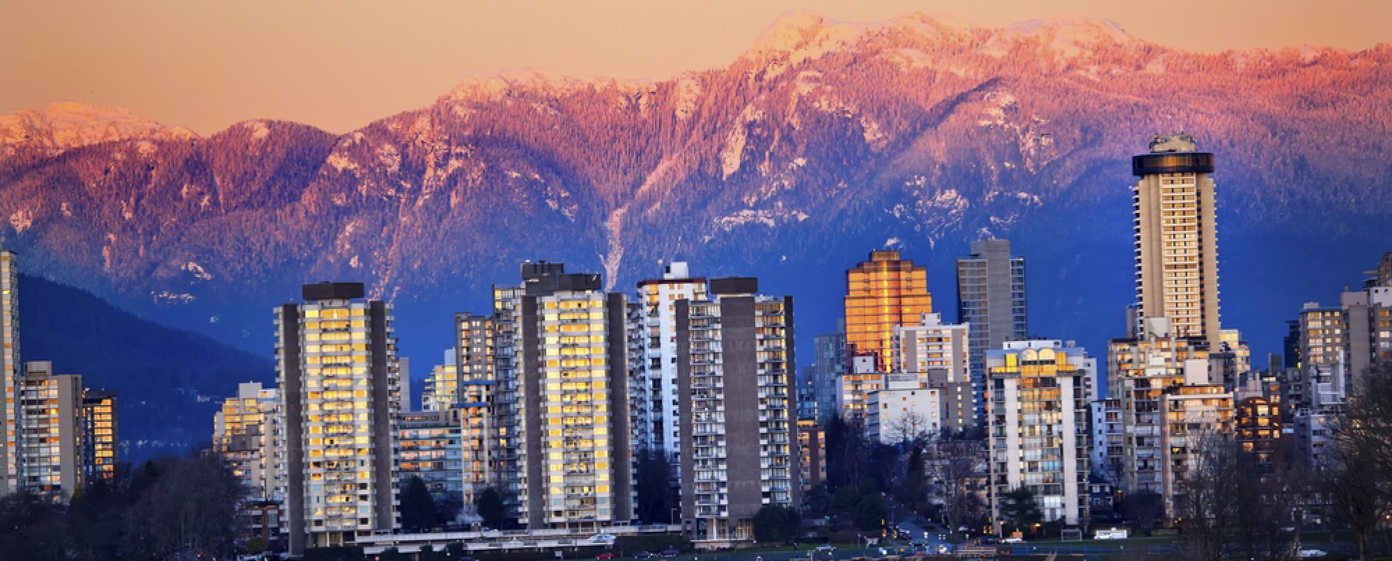 Vancouver SEO Agency | Digital Marketing Leaders of BC